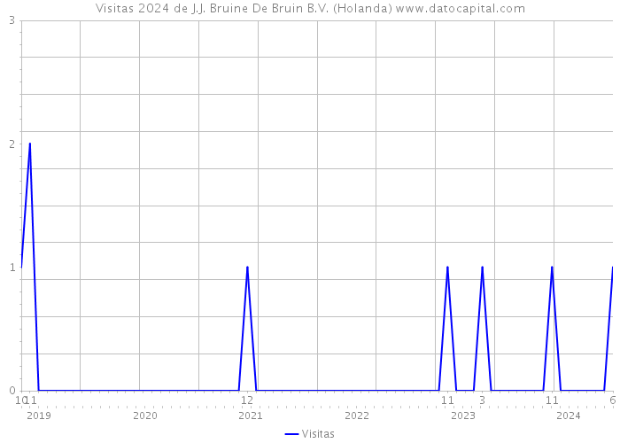 Visitas 2024 de J.J. Bruine De Bruin B.V. (Holanda) 