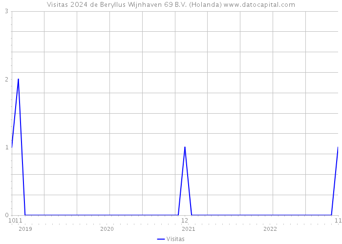 Visitas 2024 de Beryllus Wijnhaven 69 B.V. (Holanda) 