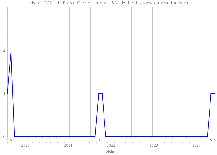 Visitas 2024 de Borski Carried Interest B.V. (Holanda) 