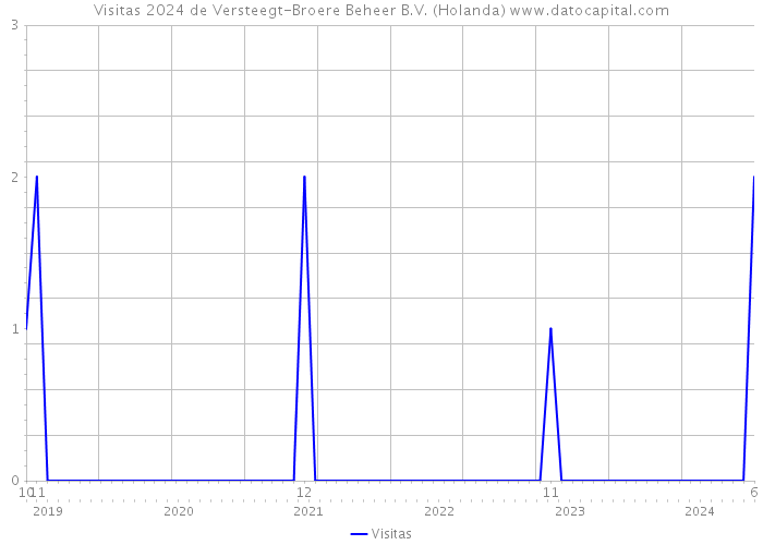 Visitas 2024 de Versteegt-Broere Beheer B.V. (Holanda) 