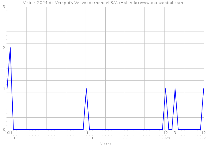 Visitas 2024 de Verspui's Veevoederhandel B.V. (Holanda) 