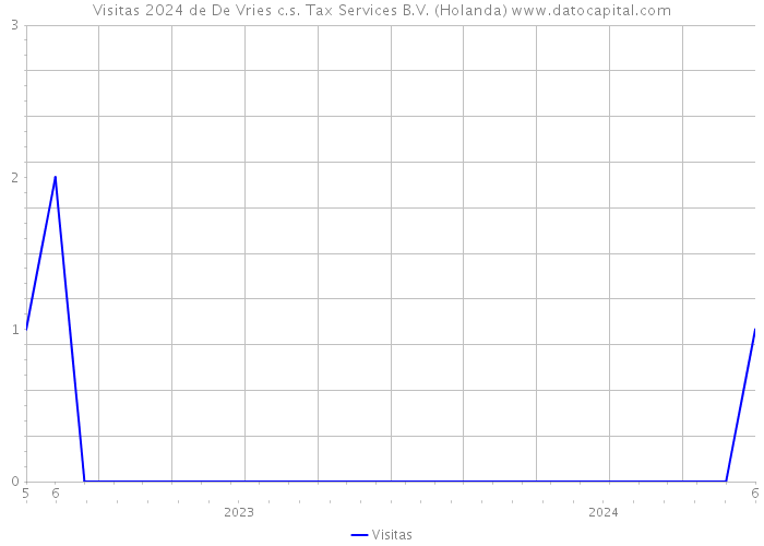 Visitas 2024 de De Vries c.s. Tax Services B.V. (Holanda) 