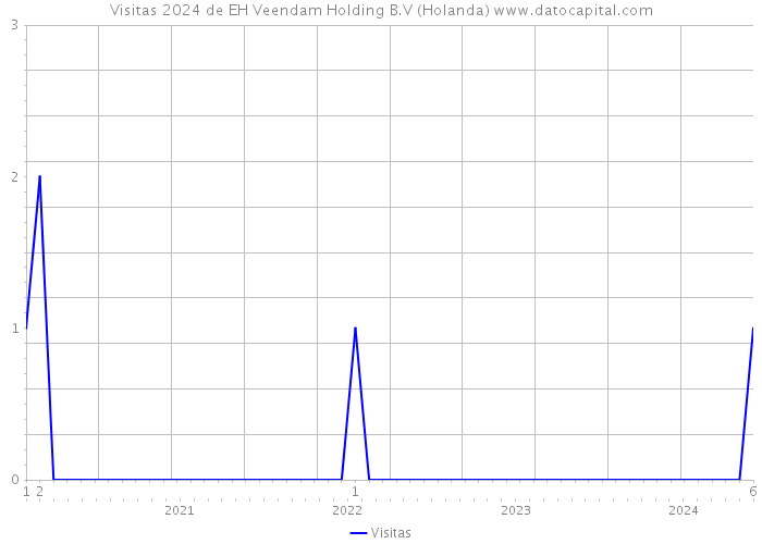 Visitas 2024 de EH Veendam Holding B.V (Holanda) 