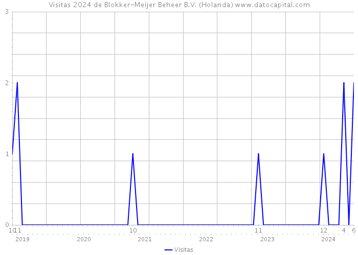 Visitas 2024 de Blokker-Meijer Beheer B.V. (Holanda) 