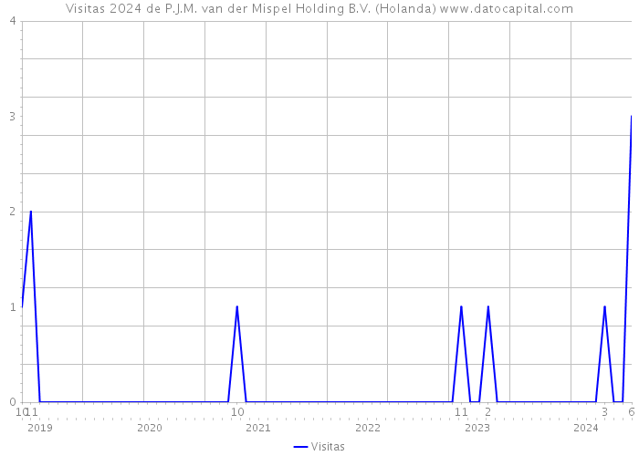 Visitas 2024 de P.J.M. van der Mispel Holding B.V. (Holanda) 