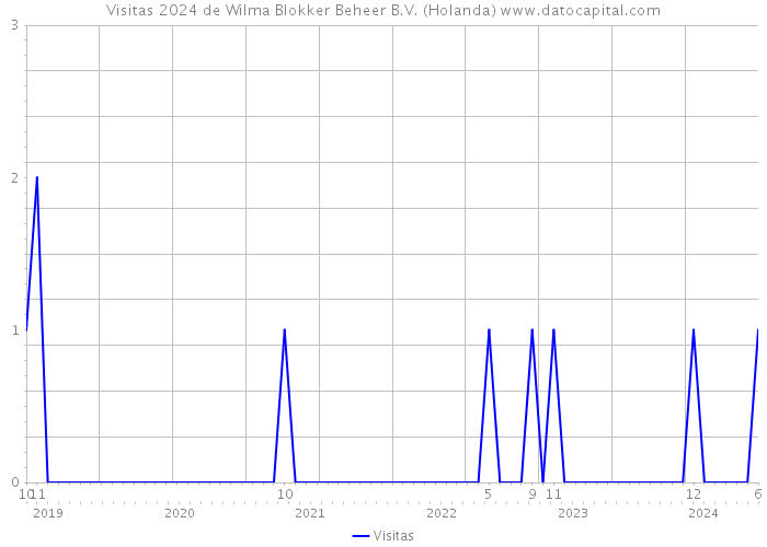 Visitas 2024 de Wilma Blokker Beheer B.V. (Holanda) 