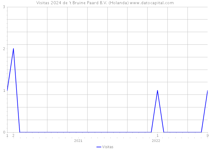 Visitas 2024 de 't Bruine Paard B.V. (Holanda) 