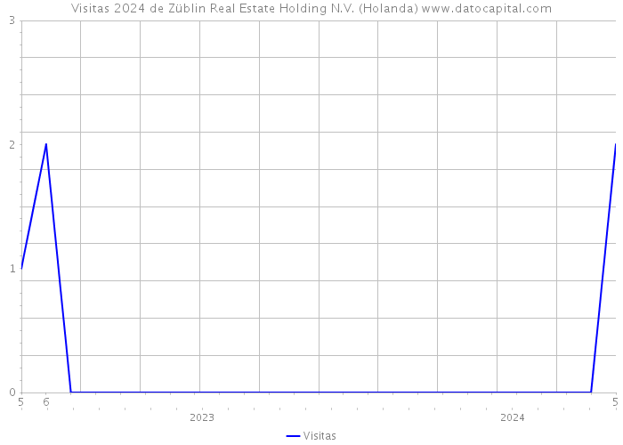 Visitas 2024 de Züblin Real Estate Holding N.V. (Holanda) 