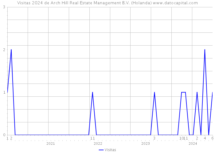 Visitas 2024 de Arch Hill Real Estate Management B.V. (Holanda) 