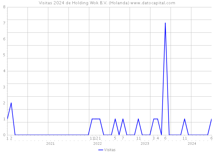 Visitas 2024 de Holding Wok B.V. (Holanda) 