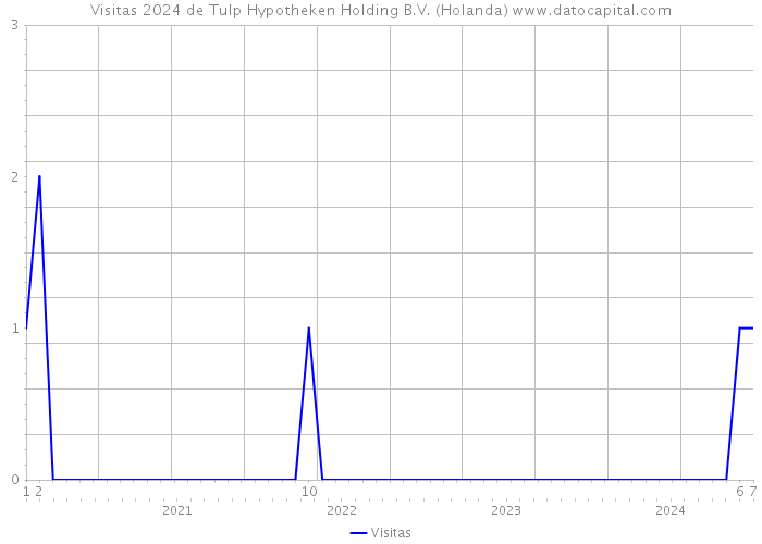 Visitas 2024 de Tulp Hypotheken Holding B.V. (Holanda) 