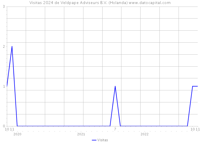 Visitas 2024 de Veldpape Adviseurs B.V. (Holanda) 