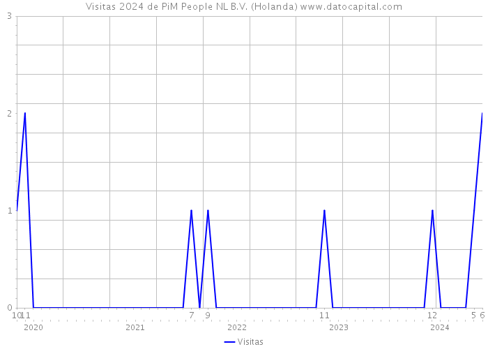 Visitas 2024 de PiM People NL B.V. (Holanda) 