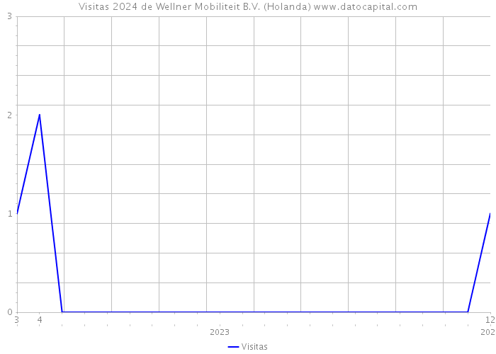 Visitas 2024 de Wellner Mobiliteit B.V. (Holanda) 