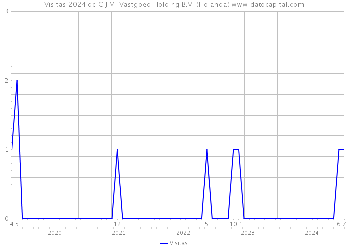 Visitas 2024 de C.J.M. Vastgoed Holding B.V. (Holanda) 