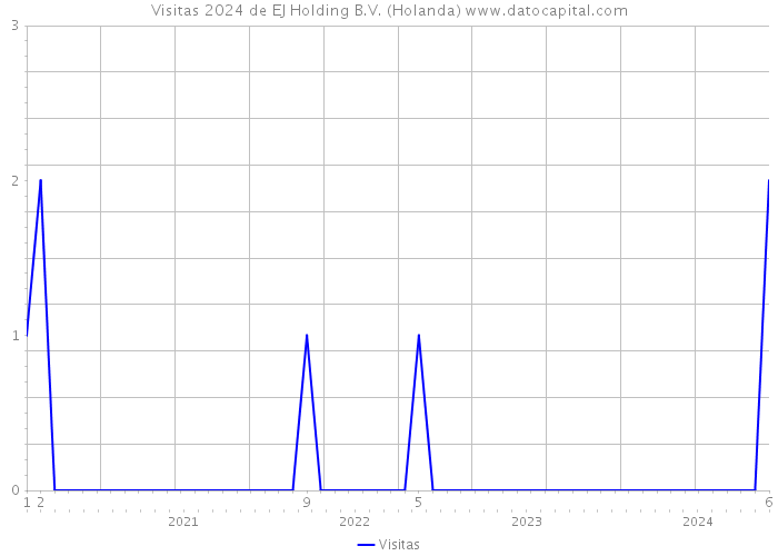 Visitas 2024 de EJ Holding B.V. (Holanda) 