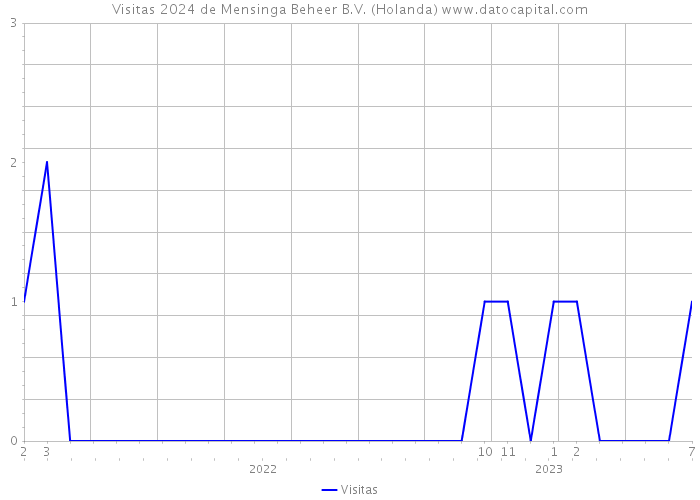 Visitas 2024 de Mensinga Beheer B.V. (Holanda) 