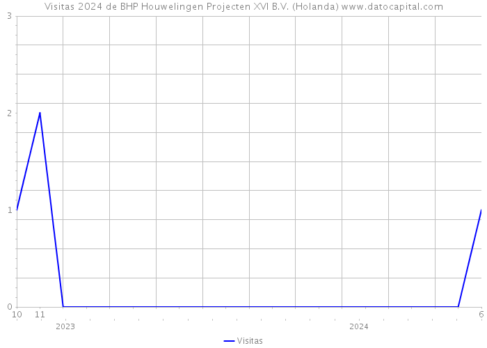 Visitas 2024 de BHP Houwelingen Projecten XVI B.V. (Holanda) 