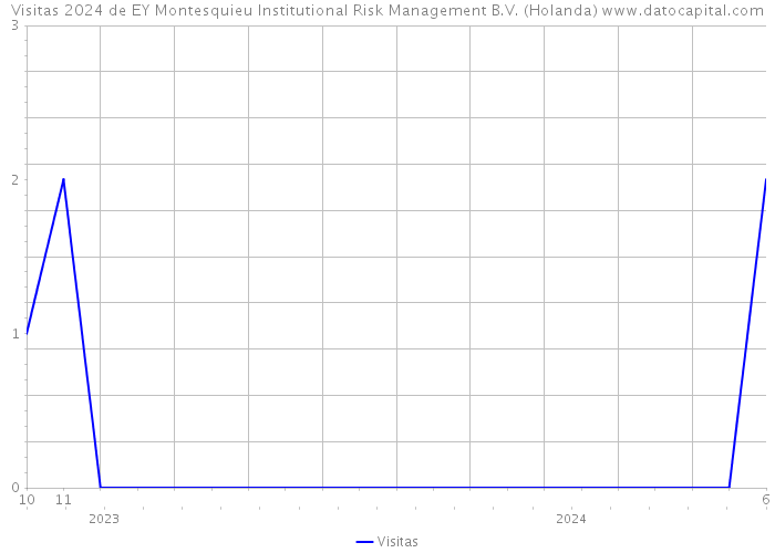 Visitas 2024 de EY Montesquieu Institutional Risk Management B.V. (Holanda) 