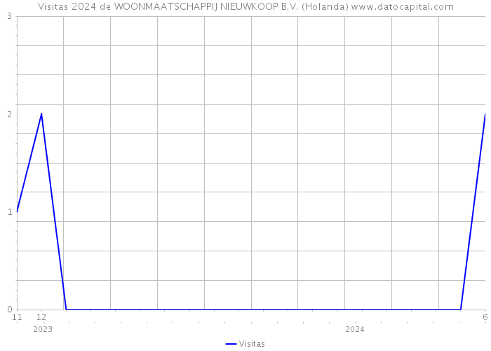 Visitas 2024 de WOONMAATSCHAPPIJ NIEUWKOOP B.V. (Holanda) 