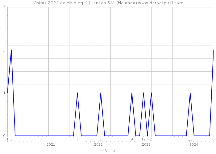 Visitas 2024 de Holding K.J. Jansen B.V. (Holanda) 