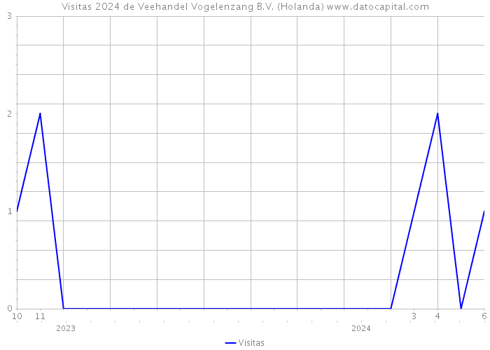 Visitas 2024 de Veehandel Vogelenzang B.V. (Holanda) 