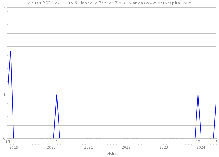 Visitas 2024 de Huub & Hanneke Beheer B.V. (Holanda) 