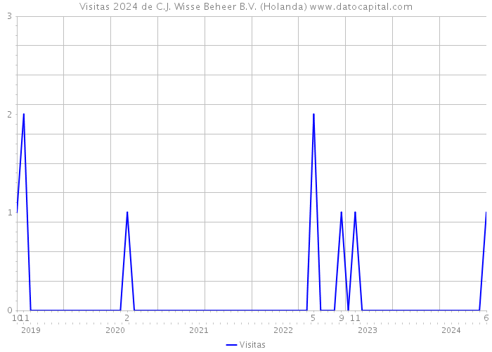 Visitas 2024 de C.J. Wisse Beheer B.V. (Holanda) 