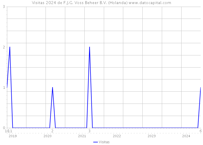 Visitas 2024 de F.J.G. Voss Beheer B.V. (Holanda) 