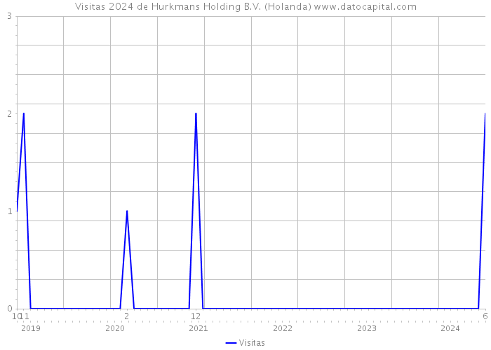 Visitas 2024 de Hurkmans Holding B.V. (Holanda) 