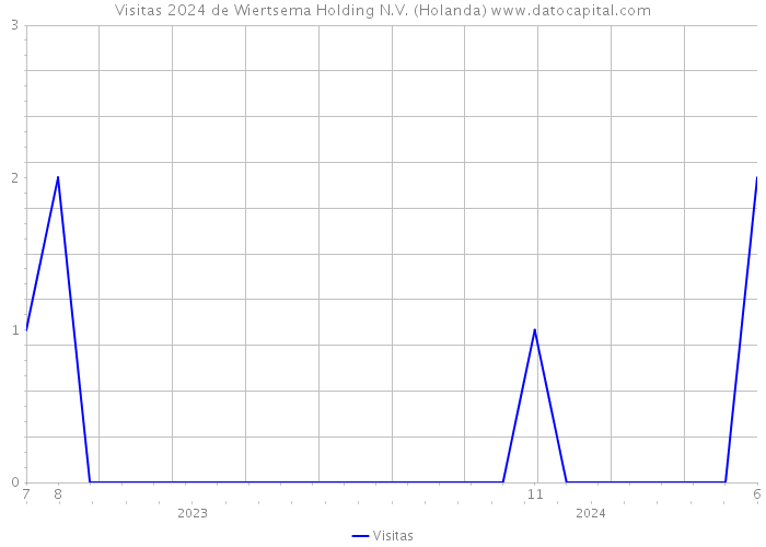 Visitas 2024 de Wiertsema Holding N.V. (Holanda) 