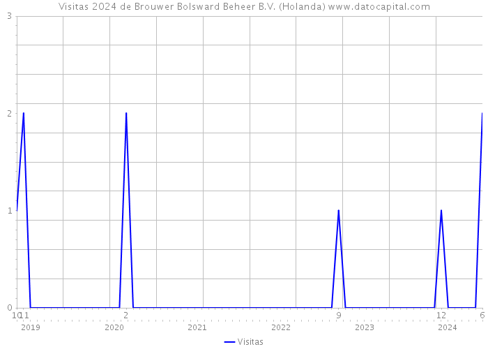 Visitas 2024 de Brouwer Bolsward Beheer B.V. (Holanda) 
