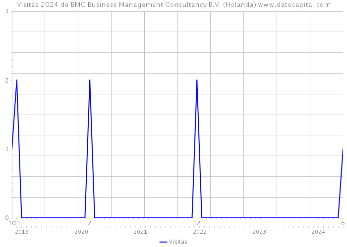 Visitas 2024 de BMC Business Management Consultancy B.V. (Holanda) 