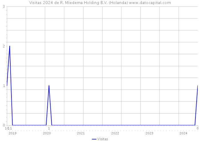 Visitas 2024 de R. Miedema Holding B.V. (Holanda) 