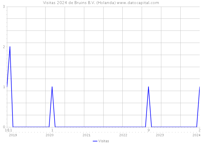 Visitas 2024 de Bruins B.V. (Holanda) 