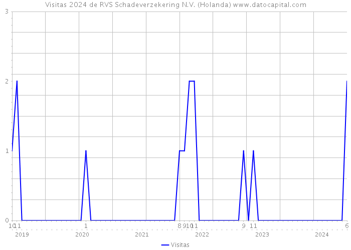 Visitas 2024 de RVS Schadeverzekering N.V. (Holanda) 