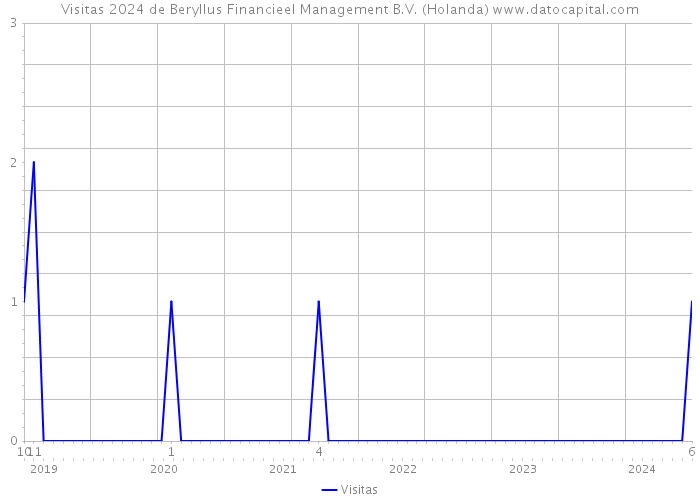 Visitas 2024 de Beryllus Financieel Management B.V. (Holanda) 