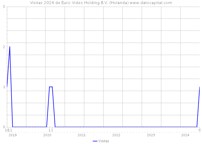 Visitas 2024 de Euro Video Holding B.V. (Holanda) 