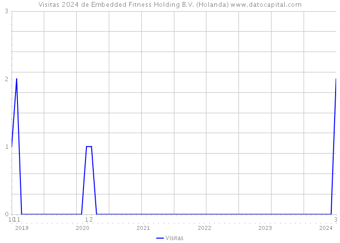 Visitas 2024 de Embedded Fitness Holding B.V. (Holanda) 