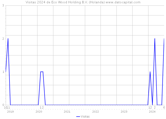 Visitas 2024 de Eco Wood Holding B.V. (Holanda) 