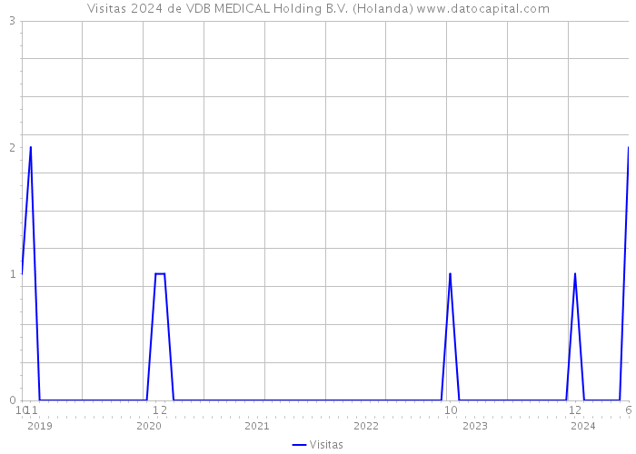 Visitas 2024 de VDB MEDICAL Holding B.V. (Holanda) 