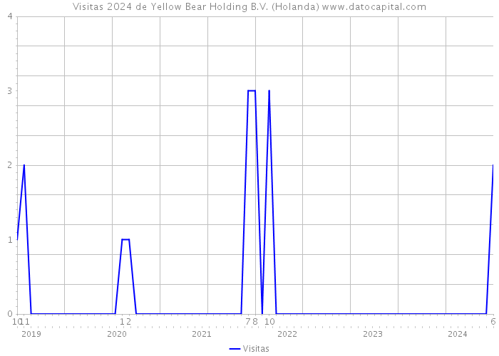 Visitas 2024 de Yellow Bear Holding B.V. (Holanda) 