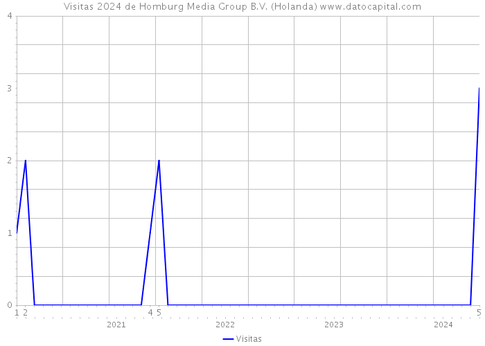 Visitas 2024 de Homburg Media Group B.V. (Holanda) 