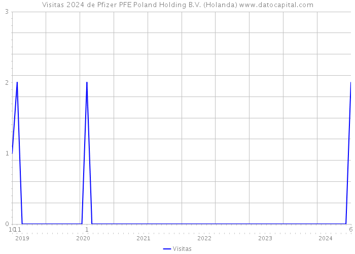 Visitas 2024 de Pfizer PFE Poland Holding B.V. (Holanda) 