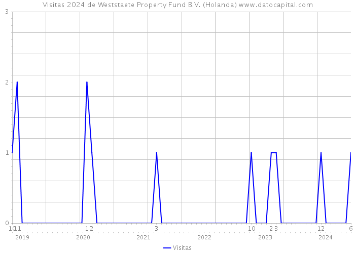 Visitas 2024 de Weststaete Property Fund B.V. (Holanda) 