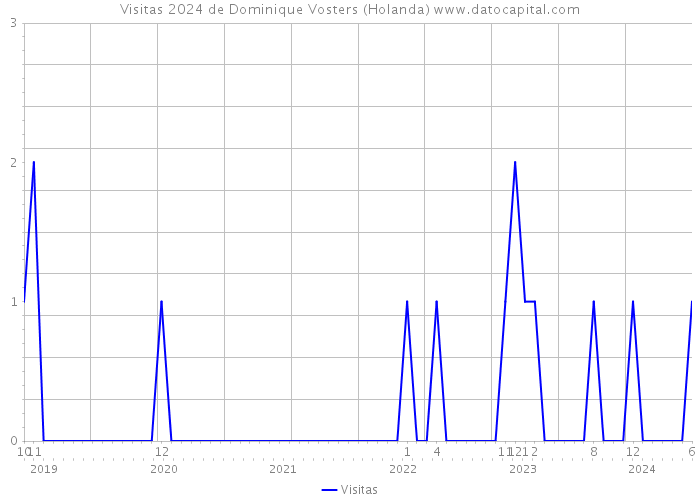 Visitas 2024 de Dominique Vosters (Holanda) 