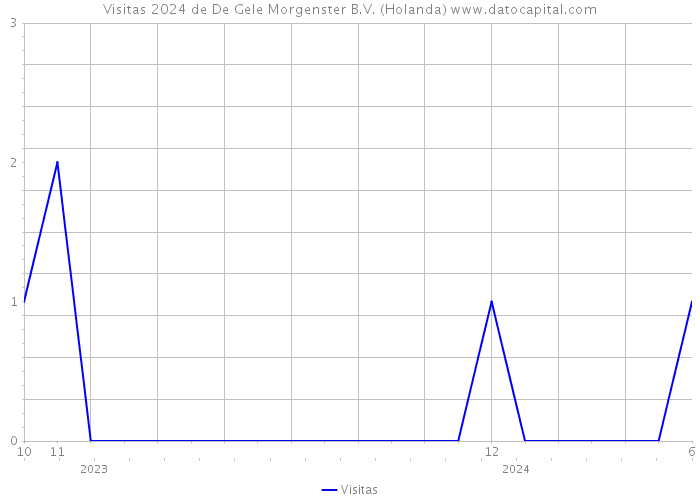 Visitas 2024 de De Gele Morgenster B.V. (Holanda) 