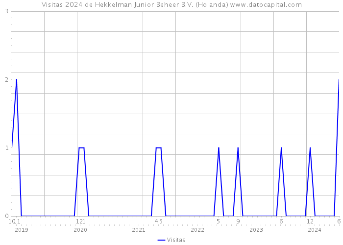 Visitas 2024 de Hekkelman Junior Beheer B.V. (Holanda) 