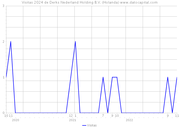 Visitas 2024 de Derks Nederland Holding B.V. (Holanda) 
