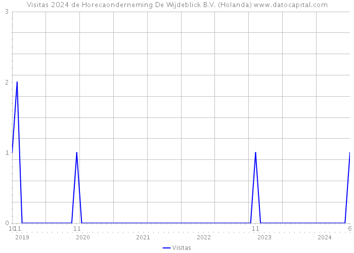 Visitas 2024 de Horecaonderneming De Wijdeblick B.V. (Holanda) 